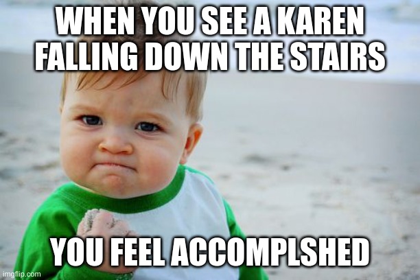 Success Kid Original Meme | WHEN YOU SEE A KAREN FALLING DOWN THE STAIRS; YOU FEEL ACCOMPLSHED | image tagged in memes,success kid original | made w/ Imgflip meme maker