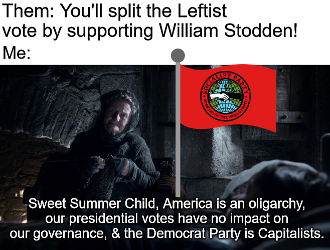 sweet summer child | Them: You'll split the Leftist vote by supporting William Stodden! Me:; Sweet Summer Child, America is an oligarchy, our presidential votes have no impact on our governance, & the Democrat Party is Capitalists. | image tagged in sweet summer child,leftists,leftist,socialist,socialist party,william stodden | made w/ Imgflip meme maker