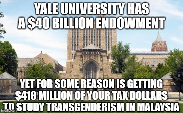 yaleuniversity | YALE UNIVERSITY HAS A $40 BILLION ENDOWMENT; YET FOR SOME REASON IS GETTING $418 MILLION OF YOUR TAX DOLLARS TO STUDY TRANSGENDERISM IN MALAYSIA | image tagged in yaleuniversity | made w/ Imgflip meme maker