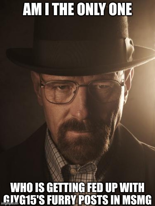 Walter White | AM I THE ONLY ONE; WHO IS GETTING FED UP WITH GJYG15'S FURRY POSTS IN MSMG | image tagged in walter white | made w/ Imgflip meme maker