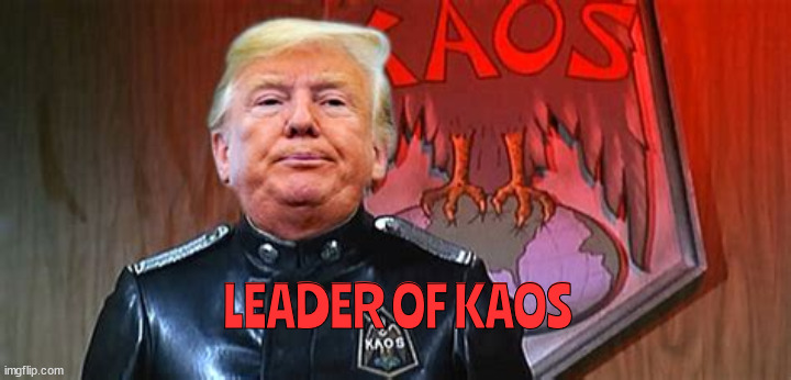 Got Stupid? | LEADER OF KAOS | image tagged in trump,kaos,chaos,antichrist,traitor,russian puppet | made w/ Imgflip meme maker