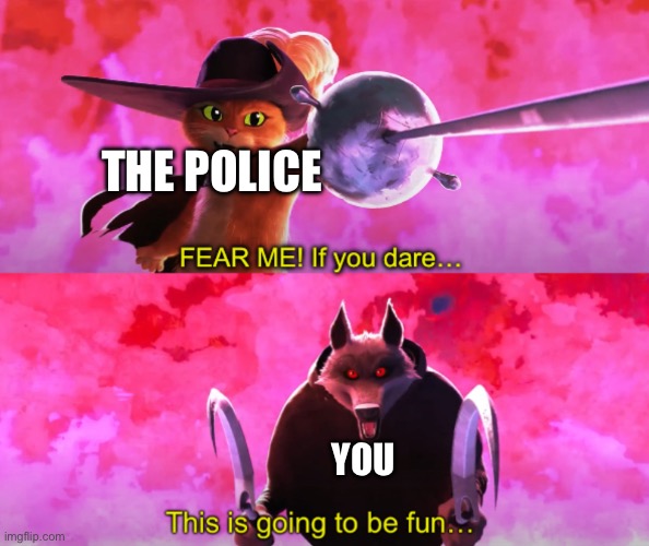 Puss vs death | THE POLICE YOU | image tagged in puss vs death | made w/ Imgflip meme maker