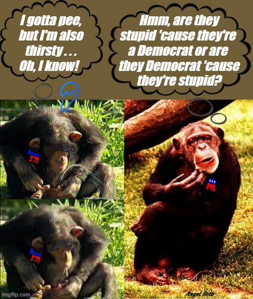 Are they stupid 'cause they're dems or are they dems 'cause they're stupid? | Hmm, are they
stupid 'cause they're 
a Democrat or are 
they Democrat 'cause
they're stupid? I gotta pee,
but I'm also
thirsty . . .
Oh, I know! Angel Soto | image tagged in chimps are like democrats,democrats,republicans,stupid liberals,chimp,pee | made w/ Imgflip meme maker