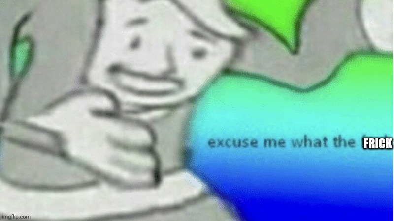 Excuse me but wtf | FRICK | image tagged in excuse me but wtf | made w/ Imgflip meme maker
