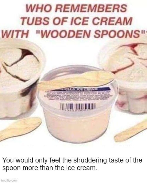 wooden spoons tasted disgusting | You would only feel the shuddering taste of the
spoon more than the ice cream. | image tagged in nostalgia,ice cream,oh wow are you actually reading these tags,stop reading the tags,are you ok | made w/ Imgflip meme maker