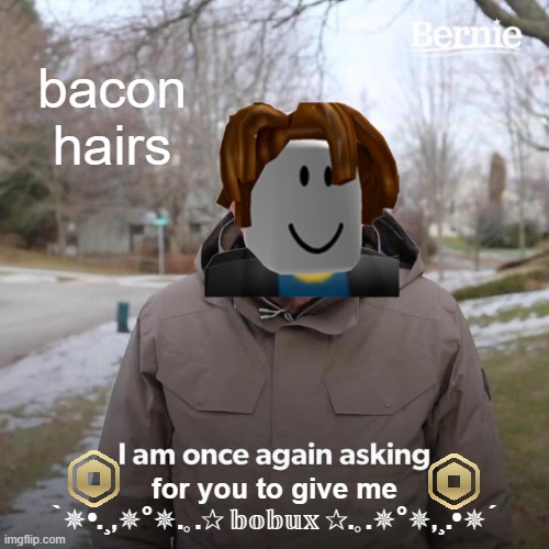 Bernie I Am Once Again Asking For Your Support Meme | bacon hairs; for you to give me; `✵•.¸,✵°✵.｡.✰ 𝕓𝕠𝕓𝕦𝕩 ✰.｡.✵°✵,¸.•✵´ | image tagged in memes,bernie i am once again asking for your support,bobux,roblox meme,you have been eternally cursed for reading the tags,lol | made w/ Imgflip meme maker