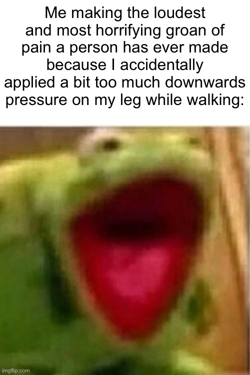 i be screaming like an eldritch abomination for just some mild leg pain :skull: | Me making the loudest and most horrifying groan of pain a person has ever made because I accidentally applied a bit too much downwards pressure on my leg while walking: | image tagged in ahhhhhhhhhhhhh,me irl,pain,screaming,relatable | made w/ Imgflip meme maker