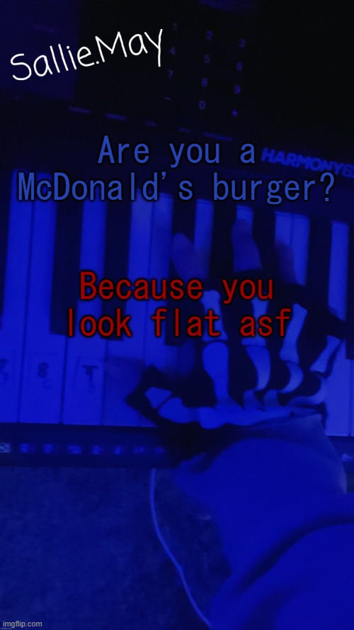 Sallie's temp by hannibal | Are you a McDonald's burger? Because you look flat asf | image tagged in sallie's temp by hannibal,i'd still hit that | made w/ Imgflip meme maker