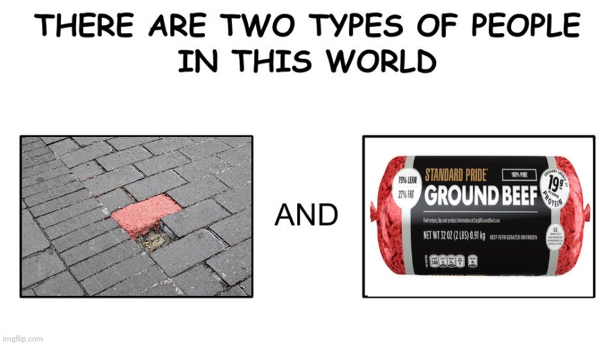 Ground beef | image tagged in there are two types of people in this world,ground beef,ground,beef,bricks,memes | made w/ Imgflip meme maker