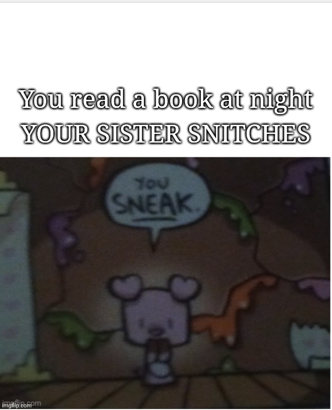 You sneak | YOUR SISTER SNITCHES; You read a book at night | image tagged in you sneak | made w/ Imgflip meme maker