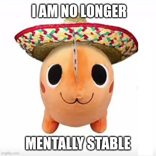 I AM NO LONGER; MENTALLY STABLE | made w/ Imgflip meme maker