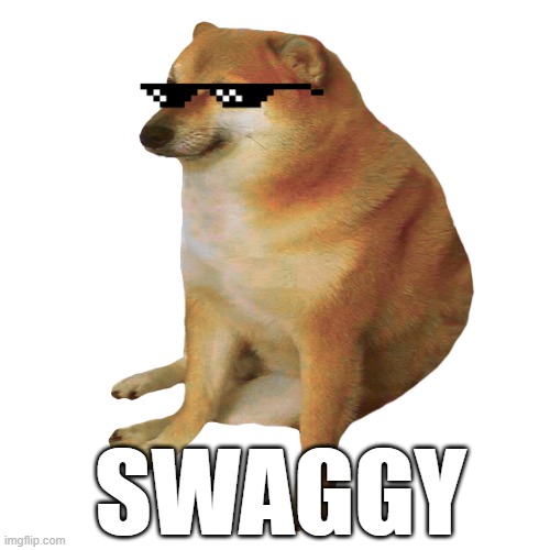 swag | SWAGGY | image tagged in swag | made w/ Imgflip meme maker