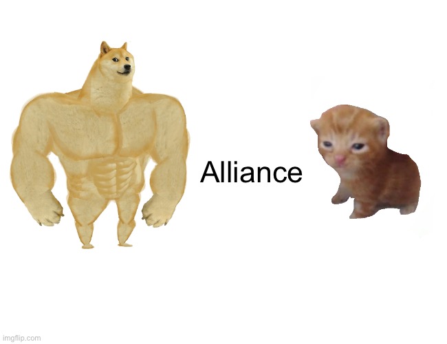 Alliance or no? | Alliance | image tagged in memes,buff doge vs cheems | made w/ Imgflip meme maker