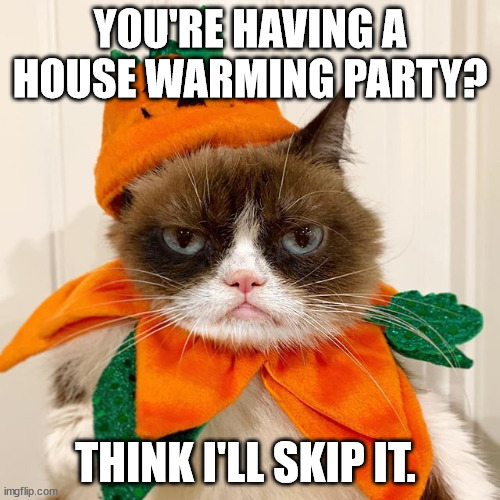 Your party is going to suck. | YOU'RE HAVING A HOUSE WARMING PARTY? THINK I'LL SKIP IT. | image tagged in grumpy cat halloween,halloween party,house warming party,real estate,buying a home,real estate agent | made w/ Imgflip meme maker