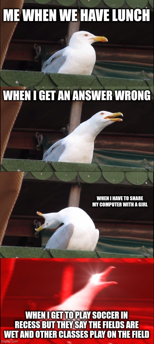 we have a teacher that makes an excuse to not play your favorite sport | ME WHEN WE HAVE LUNCH; WHEN I GET AN ANSWER WRONG; WHEN I HAVE TO SHARE MY COMPUTER WITH A GIRL; WHEN I GET TO PLAY SOCCER IN RECESS BUT THEY SAY THE FIELDS ARE WET AND OTHER CLASSES PLAY ON THE FIELD | image tagged in memes,inhaling seagull | made w/ Imgflip meme maker