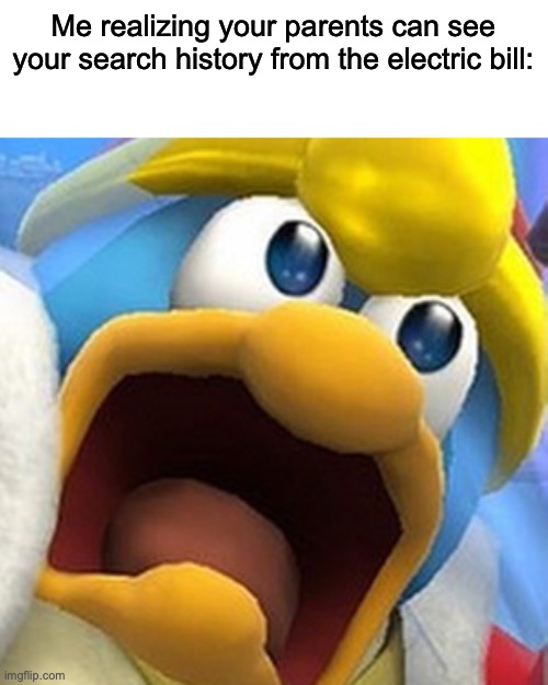 Oh shat | Me realizing your parents can see your search history from the electric bill: | image tagged in king dedede oh shit face | made w/ Imgflip meme maker