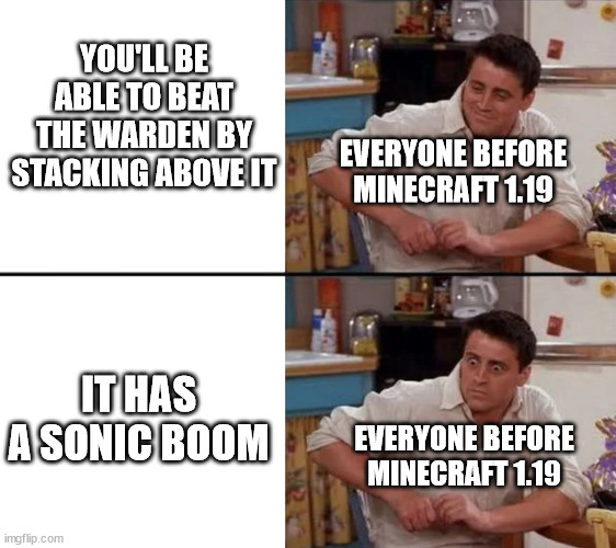 Why must you hurt us in this way | YOU'LL BE ABLE TO BEAT THE WARDEN BY STACKING ABOVE IT; EVERYONE BEFORE MINECRAFT 1.19; IT HAS A SONIC BOOM; EVERYONE BEFORE MINECRAFT 1.19 | image tagged in surprised joey,minecraft,warden | made w/ Imgflip meme maker
