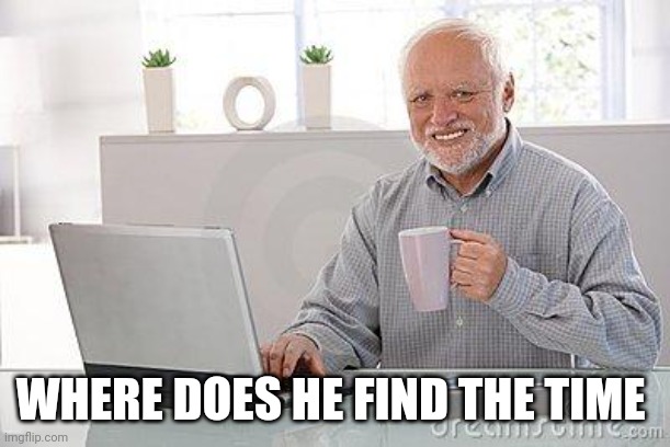 Hide the pain harold smile | WHERE DOES HE FIND THE TIME | image tagged in hide the pain harold smile | made w/ Imgflip meme maker