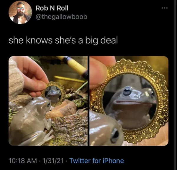 liz cheney Blank Meme Template