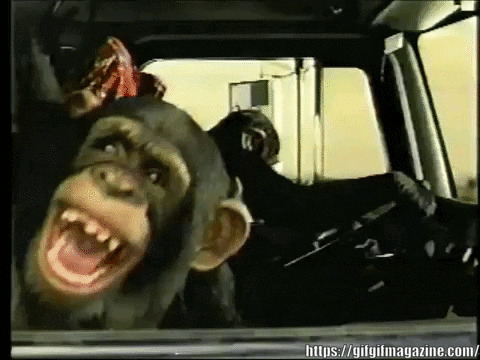 monke Blank Meme Template