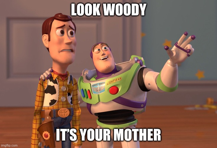 LOOK WOODY IT’S YOUR MOTHER | image tagged in memes,x x everywhere | made w/ Imgflip meme maker