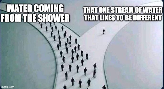 There's always one | THAT ONE STREAM OF WATER THAT LIKES TO BE DIFFERENT; WATER COMING FROM THE SHOWER | image tagged in two paths,memes,funny,shower thoughts,water | made w/ Imgflip meme maker