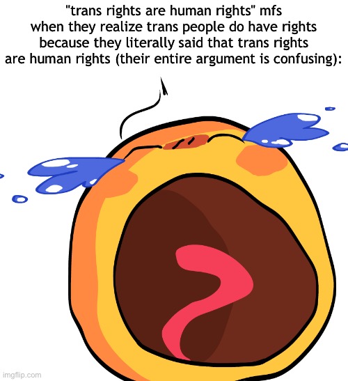 im not even transphobic im just confused | "trans rights are human rights" mfs when they realize trans people do have rights because they literally said that trans rights are human rights (their entire argument is confusing): | image tagged in cursed crying emoji | made w/ Imgflip meme maker