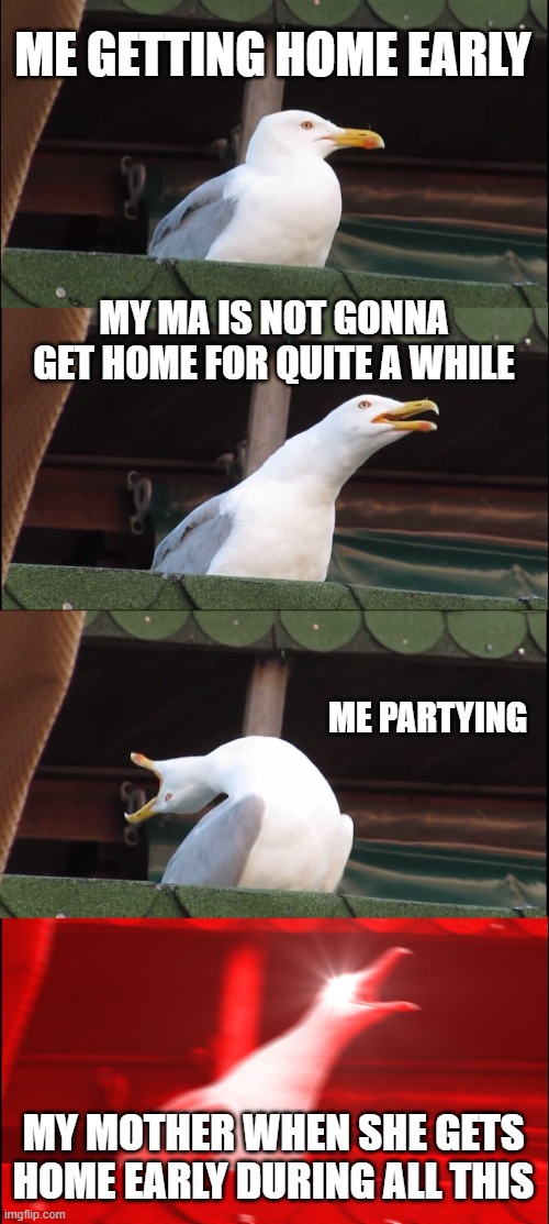 Inhaling Seagull | ME GETTING HOME EARLY; MY MA IS NOT GONNA GET HOME FOR QUITE A WHILE; ME PARTYING; MY MOTHER WHEN SHE GETS HOME EARLY DURING ALL THIS | image tagged in memes,inhaling seagull | made w/ Imgflip meme maker