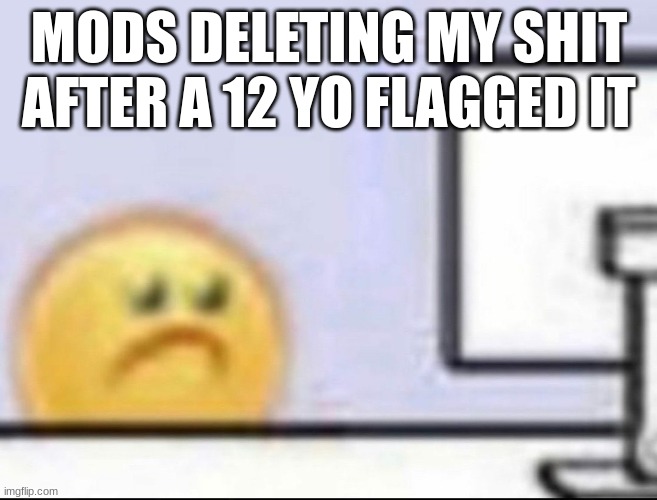 Zad | MODS DELETING MY SHIT AFTER A 12 YO FLAGGED IT | image tagged in zad | made w/ Imgflip meme maker