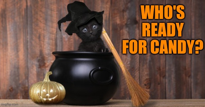 KITTY NEEDS A WITCH | WHO'S READY FOR CANDY? | image tagged in cats,funny cats,halloween,spooktober | made w/ Imgflip meme maker