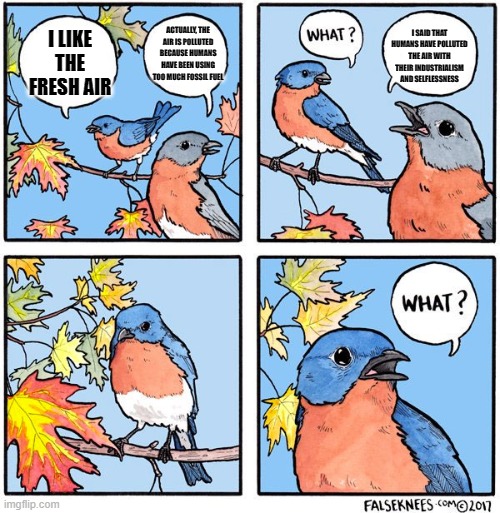 What bird | I SAID THAT HUMANS HAVE POLLUTED THE AIR WITH THEIR INDUSTRIALISM AND SELFLESSNESS; ACTUALLY, THE AIR IS POLLUTED BECAUSE HUMANS HAVE BEEN USING TOO MUCH FOSSIL FUEL; I LIKE THE FRESH AIR | image tagged in what bird,liberals,dummy,what | made w/ Imgflip meme maker