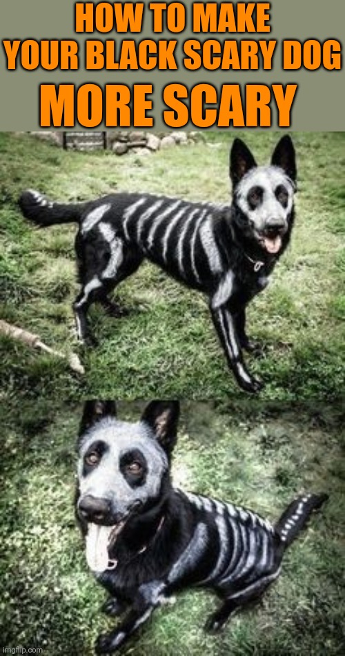 I THINK HE LIKES IT | HOW TO MAKE YOUR BLACK SCARY DOG; MORE SCARY | image tagged in dogs,dog,skeleton,spooktober | made w/ Imgflip meme maker