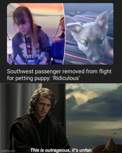 For just petting a puppy | image tagged in this is outrageous it's unfair,puppy,flight,dogs,dog,memes | made w/ Imgflip meme maker