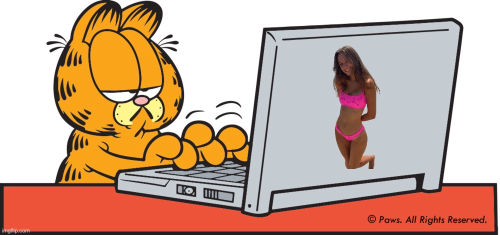 Garfield Finds a Local Beach | image tagged in garfield on computer,beach,sexy girl,bikini,girl,summer time | made w/ Imgflip meme maker