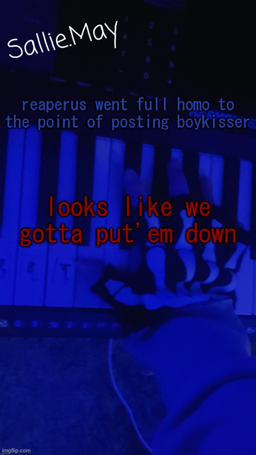 Sallie's temp by hannibal | reaperus went full homo to the point of posting boykisser; looks like we gotta put'em down | image tagged in sallie's temp by hannibal | made w/ Imgflip meme maker
