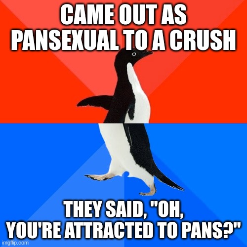 I'm crying rn. | CAME OUT AS PANSEXUAL TO A CRUSH; THEY SAID, "OH, YOU'RE ATTRACTED TO PANS?" | image tagged in memes,socially awesome awkward penguin | made w/ Imgflip meme maker