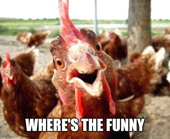 Chicken | WHERE'S THE FUNNY | image tagged in chicken | made w/ Imgflip meme maker