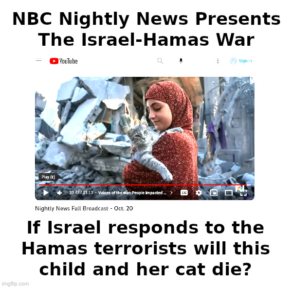 NBC Nightly News Presents the Israel-Hamas War | image tagged in nbc news,israel,hamas,terrorists,girl,cat | made w/ Imgflip meme maker