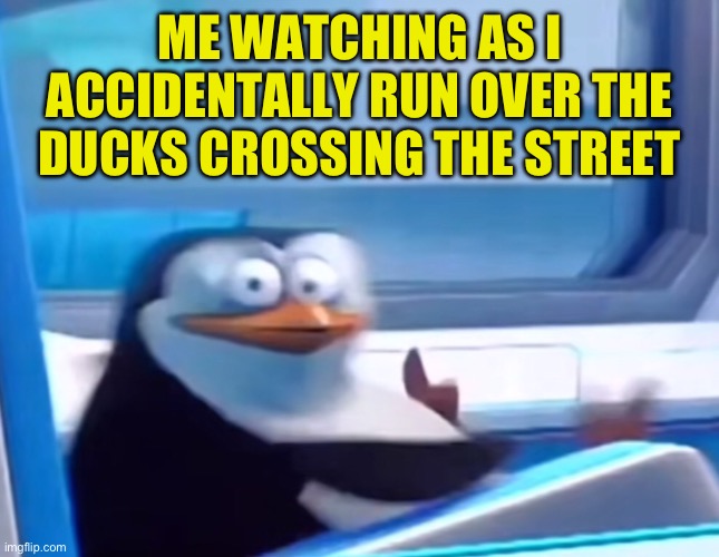 :( | ME WATCHING AS I ACCIDENTALLY RUN OVER THE DUCKS CROSSING THE STREET | image tagged in uh oh,fresh memes,funny,memes | made w/ Imgflip meme maker