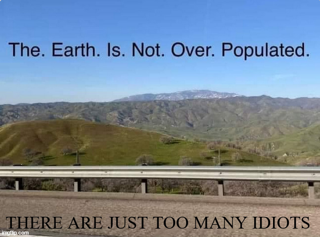 THERE ARE JUST TOO MANY IDIOTS | image tagged in idiots | made w/ Imgflip meme maker