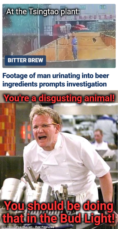 At the Tsingtao plant:; You're a disgusting animal! You should be doing that in the Bud Light! | image tagged in memes,chef gordon ramsay,tsingtao,beer,bud light,urinating | made w/ Imgflip meme maker