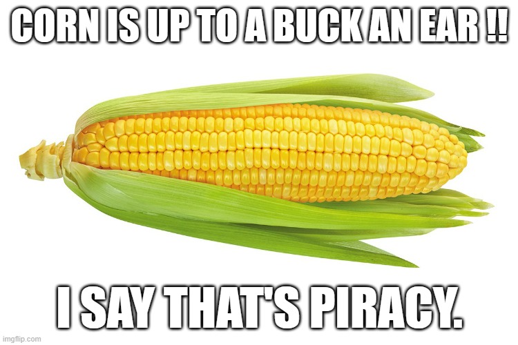 meme by brad price of corn | CORN IS UP TO A BUCK AN EAR !! I SAY THAT'S PIRACY. | image tagged in food | made w/ Imgflip meme maker