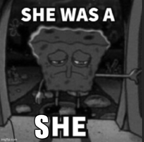 She was a he | S | image tagged in she was a he | made w/ Imgflip meme maker