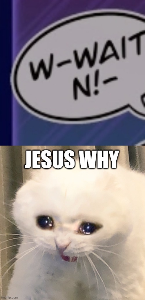 JESUS WHY | image tagged in screaming crying cat | made w/ Imgflip meme maker