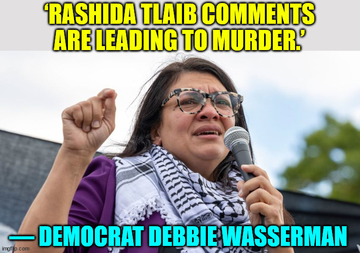 democrat Wasserman Schultz tells the truth... | ‘RASHIDA TLAIB COMMENTS ARE LEADING TO MURDER.’; — DEMOCRAT DEBBIE WASSERMAN | image tagged in debbie wasserman schultz,tell me the truth i'm ready to hear it | made w/ Imgflip meme maker