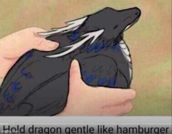 Hold dragon gentle like hamburger | made w/ Imgflip meme maker