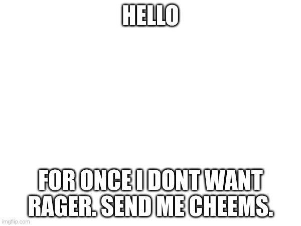 no bullshit | HELLO; FOR ONCE I DONT WANT RAGER. SEND ME CHEEMS. | image tagged in oh wow are you actually reading these tags | made w/ Imgflip meme maker