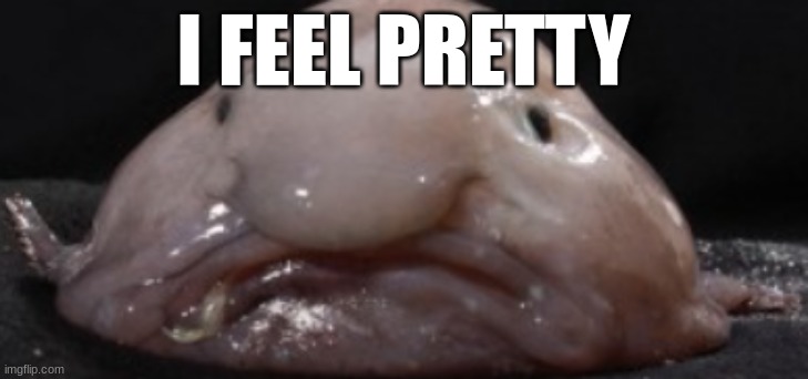 blobfish | I FEEL PRETTY | image tagged in fish | made w/ Imgflip meme maker
