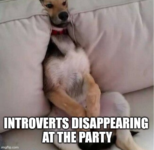 INTROVERTS DISAPPEARING 
AT THE PARTY | image tagged in funny memes | made w/ Imgflip meme maker