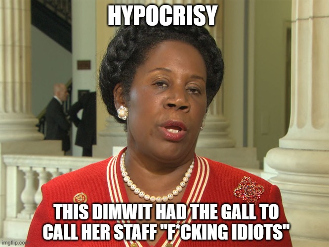 Texas Democratic Representative Sheila Jackson Lee | HYPOCRISY; THIS DIMWIT HAD THE GALL TO CALL HER STAFF "F*CKING IDIOTS" | image tagged in sheila jackson lee,democrats,liberals,woke,hateful,abusive | made w/ Imgflip meme maker